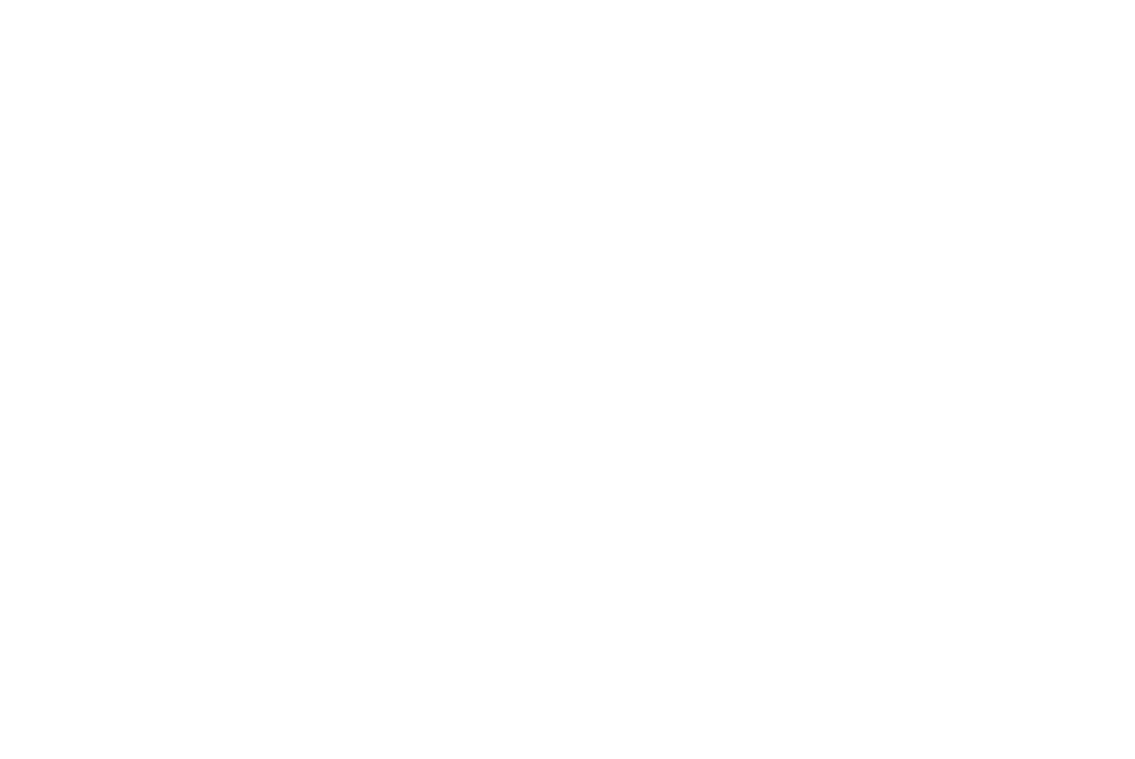 Wit Sports Wear